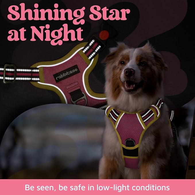 rabbitgoo Dog Harness Small Sized, 3 Buckles Easy On & Off No Pull Pet Vest, Soft Padded Walking Pet Harness with Control Handle, Adjustable and Reflective, Pink & Yellow, S