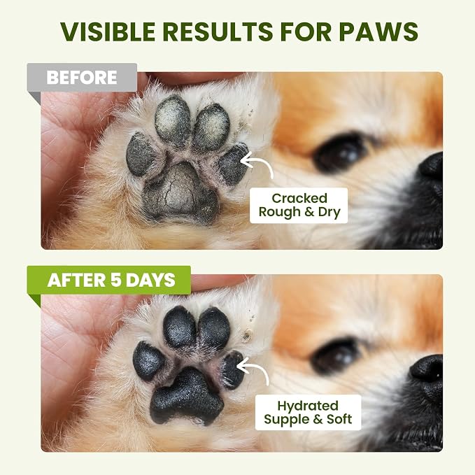 PawSono Lick-Safe Dog Paw & Nose Balm with Coconut Oil | All-Natural Moisturizer & Soother for Dry, Cracked Pads & Snout | Summer Hot Pavement & Sand Paw Wax, Nose Butter for Bulldogs (2.1 oz / 60 g)