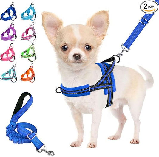 Lukovee No Pull Dog Harness and Leash Set, Soft Padded Small Dog Harness, Neck & Chest Adjustable Reflective Vest Puppy Harness with 4ft Lightweight Anti-Twist Dog Leash for Small Dogs (XXS, Blue)
