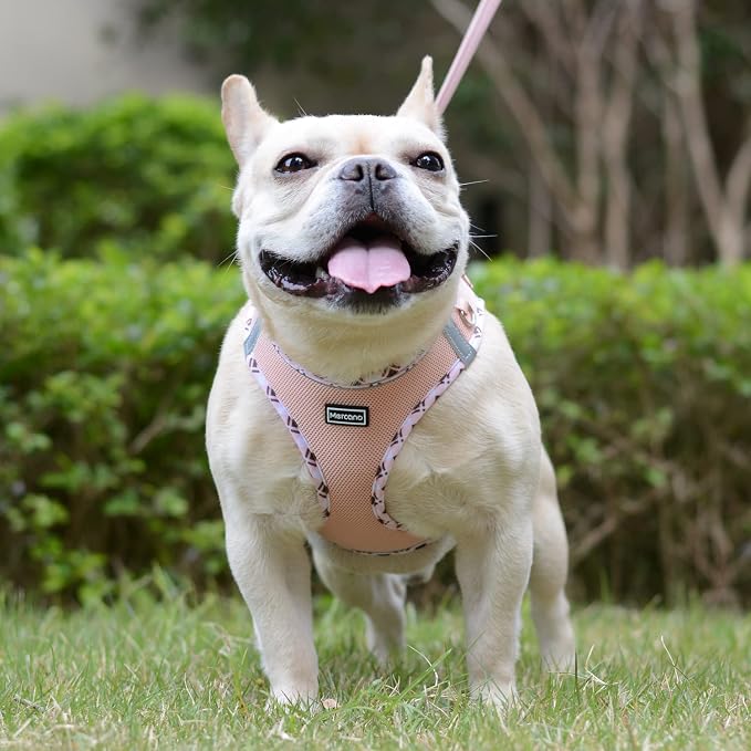 Mercano Soft Mesh Dog Harness and Leash Set, Step-in Reflective Breathable Lightweight Vest Harnesses with Safety Buckle for Small Dogs, Cats (Champagne, XXS)