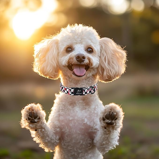 Valentines Dog Collar for Medium Dogs - Unique Black White Plaid Girl Boy Valentine Heart Dog Collars, Adjustable Heavy Duty Pet Collar with Metal Buckle M