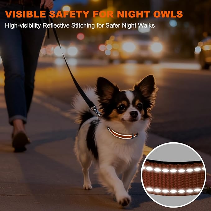 Taglory Reflective Dog Collar for Puppies with Escape-Proof Locking Buckle, Soft Neoprene Padded and Upgraded Zinc Alloy Ring, Adjustable for Chihuahua Yorkie, Orange,XS