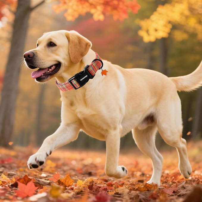 DOGWONG Fall Maple Dog Collar- Cute Classic Fall Autumn Flower Dog Collars Adjustable Fall Dog Collar for Small Medium Large Dogs S