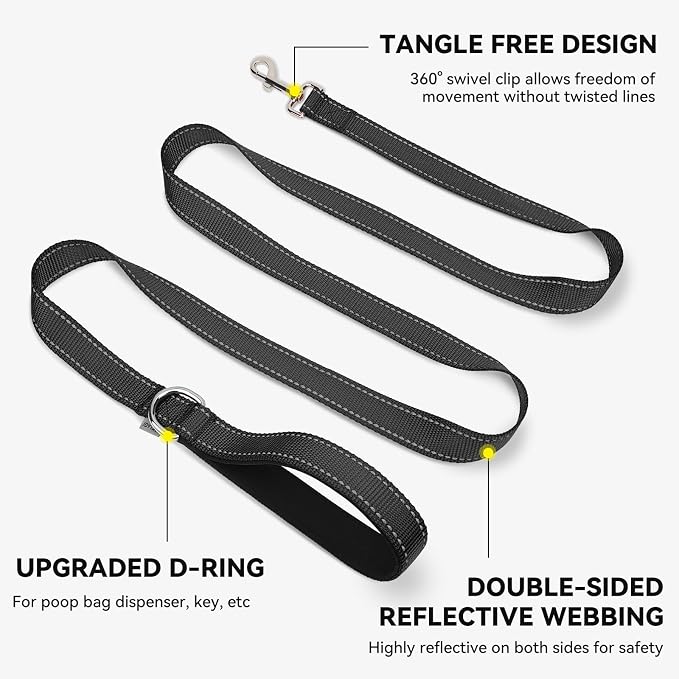 Joytale Dog Leash, 6 FT Double-Sided Reflective, Padded Handle Nylon Heavy Duty Leashes for Small Dogs Walking, Black