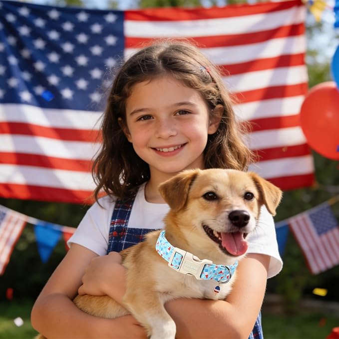 DOGWONG Summer Dog Collar, Blue Popsicle Dog Collar,4th of July Dogs Collars for Large Dogs, Neck 42-66 inches
