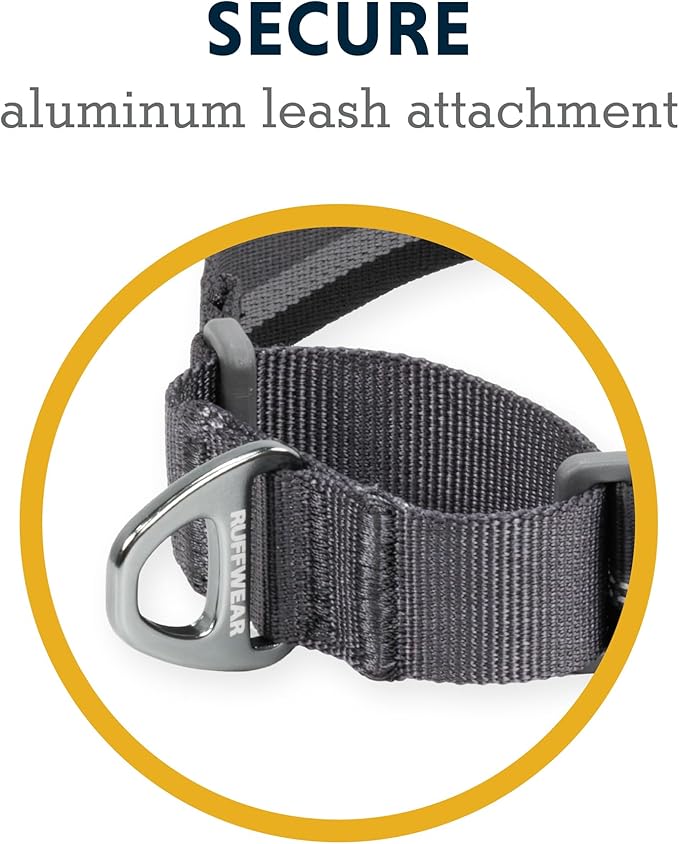 Ruffwear, Web Reaction Dog Collar, Escape-Proof Security Buckle, Adjustable Anti-Slip Martingale Collar with Durable Nylon Tubelok Webbing & Silent ID Attachment, River Rock Green, 23"-26"