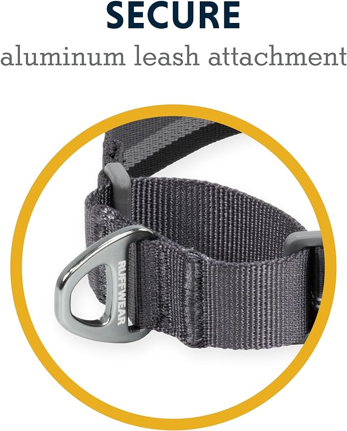Ruffwear, Web Reaction Dog Collar, Escape-Proof Security Buckle, Adjustable Anti-Slip Martingale Collar with Durable Nylon Tubelok Webbing & Silent ID Attachment, Blue Pool, 14"-17"