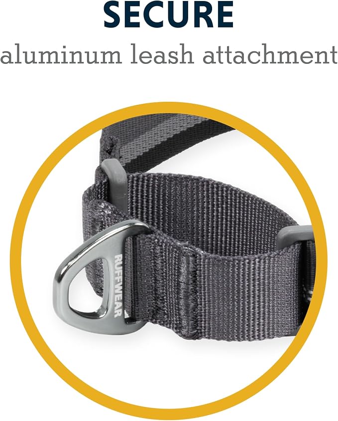 Ruffwear, Web Reaction Dog Collar, Escape-Proof Security Buckle, Adjustable Anti-Slip Martingale Collar with Durable Nylon Tubelok Webbing & Silent ID Attachment, Basalt Gray, 14"-17"