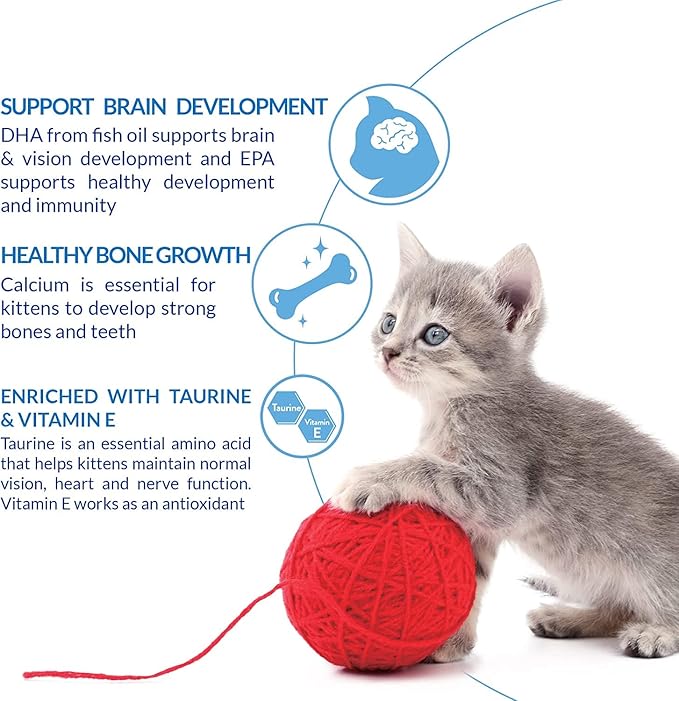INABA Churu for Kittens, Grain-Free Creamy, Purée Lickable Cat Treats with DHA, EPA, Vitamin E & Taurine, 0.5 Ounces Each, 48 Tubes (4 per Pack), Chicken Recipe