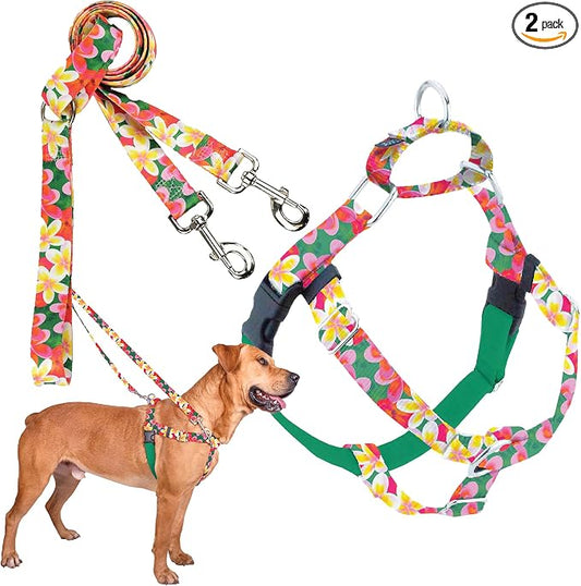 2 Hounds Design - Freedom No-Pull Harness & Training Leash in Green Aloha | Dual Leash Loops, No Pulling on Walks | Lined to Prevent Chaffing | for Large Sized Dogs (Size L, Chest 28”- 32”)