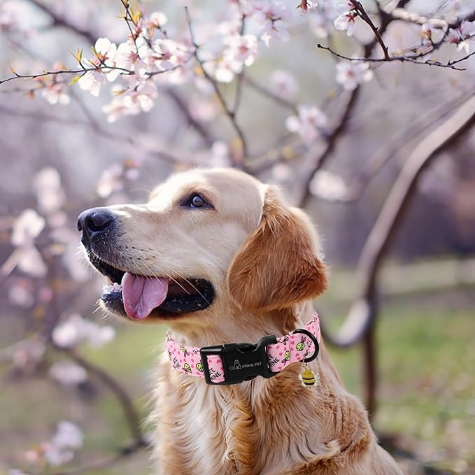 ARING PET Bee Dog Collar, Cute Spring Summer Pink Yellow Honeybees Pet Collars for Puppy Small Medium Large Boy Girl Dogs-XS