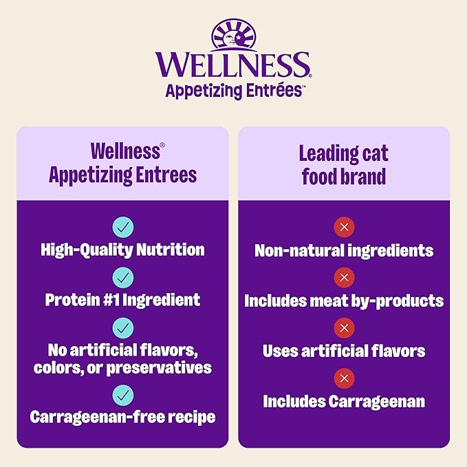 Wellness Appetizing Shredded Flaked Adult Wet Cat Food, Natural, Protein Rich, Grain Free, Chicken and Egg Recipe, 2.8 oz, Pack of 8 Pouches