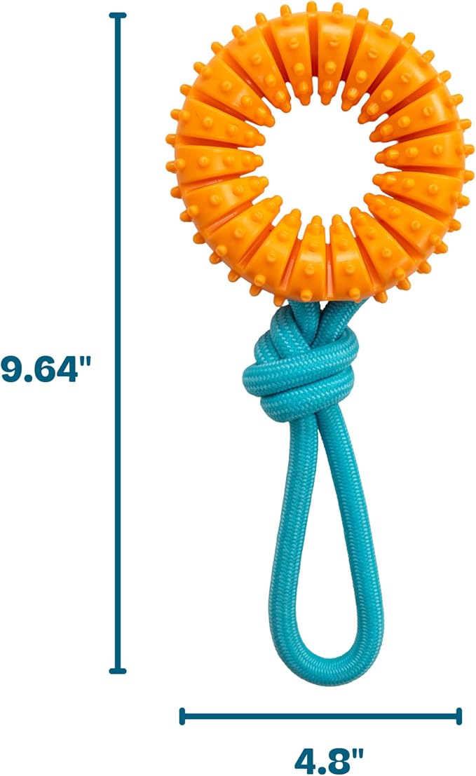 Dental Chew Wheel Dog Toy – Ring & Rope Tug, Multi-Textured, Soft on Teeth, Moderate Chewers, Mint Scented, 9"