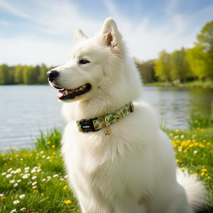 Dog Collar for Extra Small Dogs, Spring &Summer Theme Dog Collars with Sunflower Pattern, Adjustable Green Small Dog Collars, Cute Girl or Boy Dog Collar Ideal for Gifts,Pet Accessory,XS