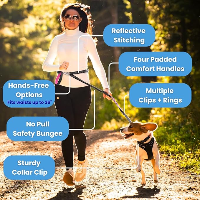 Heavy Duty Dog Leash for Large Dogs – 6FT Reflective Bungee with Padded Handles, Strong Carabiner Clip, No Pull Control for Medium & Large Breeds, Includes Poop Bag Holder & Treat Pouch (Orange)