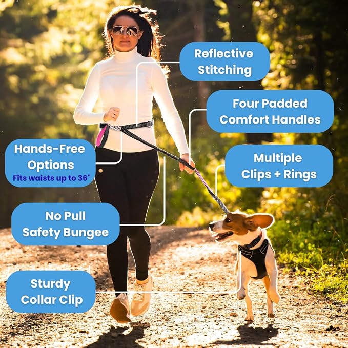 Heavy Duty Dog Leash for Large Dogs – 6FT Reflective Bungee with Padded Handles, Strong Carabiner Clip, No Pull Control for Medium & Large Breeds, Includes Poop Bag Holder & Treat Pouch (Purple)