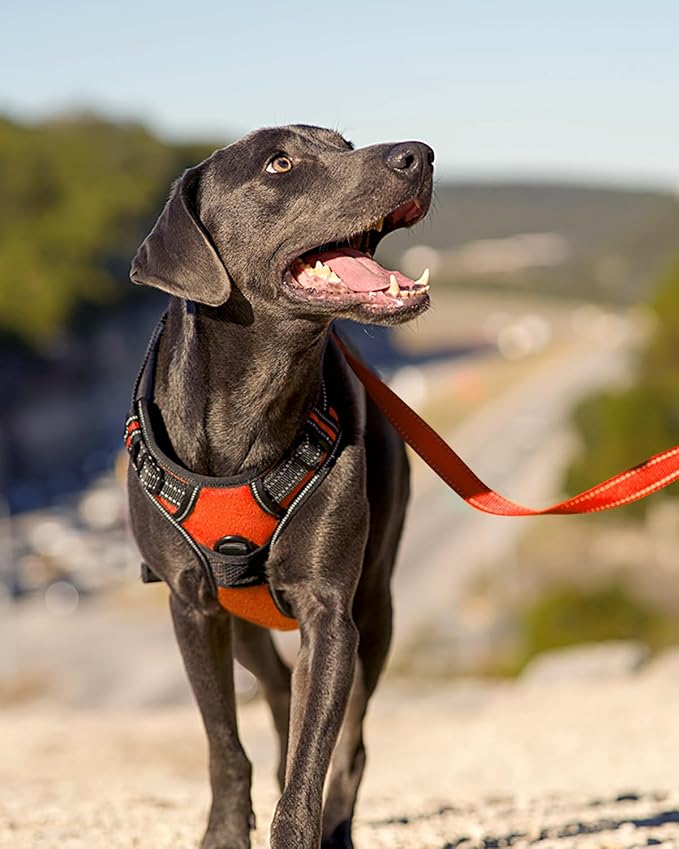 Joytale No Pull Dog Harness for Large Dogs, Reflective Pet Vest with Front Clip, Adjustable Soft Padded Harnesses with Easy Control Handle for Training and Walking, Orange, L