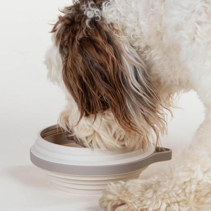Cleverpup Nomad Large Collapsible Travel Dog Bowl - 4 Cup BPA-Free Silicone for Medium & Large Dogs, Portable, Food & Water, Dishwasher Safe - Sand Silicone