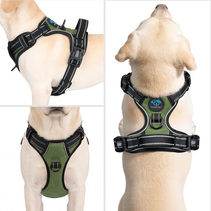 PHOEPET No Pull Dog Harness with Handle Reflective Padded Vest for Small Medium Large Dogs, Adjustable Puppy Harnesses with Front & Back Clip Easy Walking (M, Misty Green)