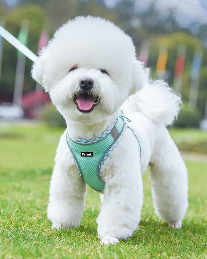 Petank Dog Harness for Small Medium Dogs No Pull, Puppy Harness and Leash Set, Step in Dog Harness for Walking, Running, Training, Small Dog Vest(Green, S)