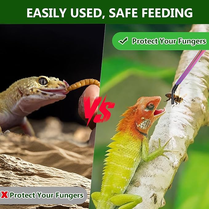 3 PACK Stainless Steel Reptile Feeding Tongs,10.62" Straight &Curved Long Feeding Tweezers&Bowl Set,Non Slip Feeding Tools with Rubber Tip,Bearded Dragon Tank Accessories (A-colorful)