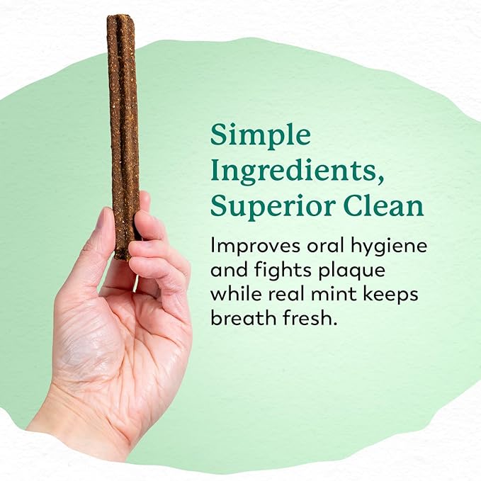 Dr. Harvey's Holistix Dental Chews for Dogs - Healthy Dog Teeth Cleaning & Fresh Breath Treats, Mint, Sweet Potato, Dried Kelp, Oyster Shells (24 Sticks)