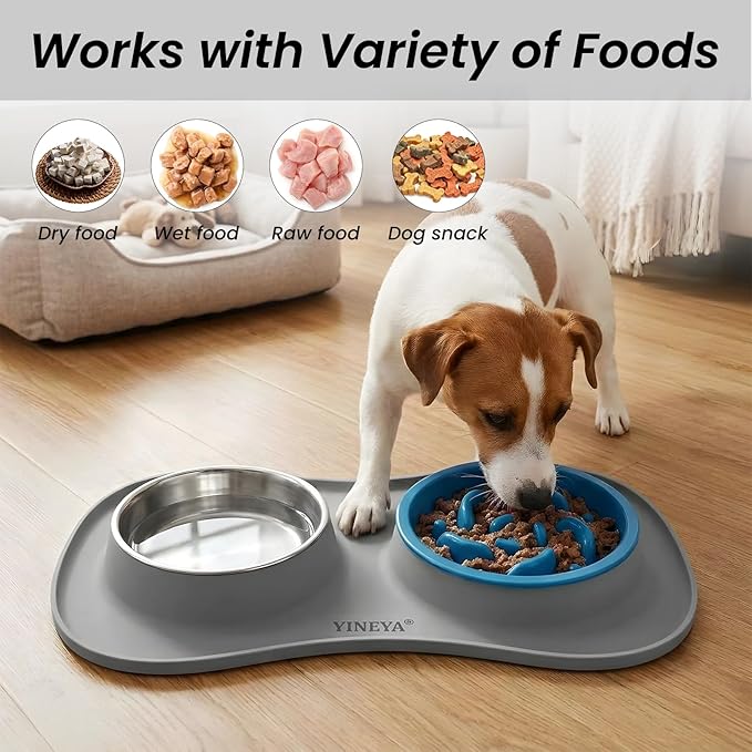 YINEYA 3 in 1 Slow Feeder Dog Bowls & Stainless Steel Food and Water Bowl with Non-Spill Dog Bowl Mat, Anti-Choking Puppy Bowls, Floor Safe & Easy Clean for Large Medium Small Dogs Cats