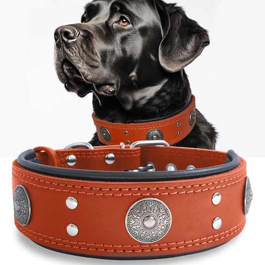Genuine Leather Dog Collar for Large Dogs,2 in Wide Heavy Duty,OR-S | Handmade,Stainless Steel Pin Buckle,Soft Padded,Alloy Studded,Luxury Eye-catching Design,Medium Large Giant Breeds,15-19 in