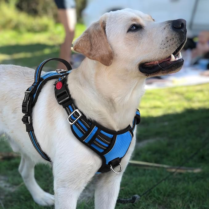 rabbitgoo Dog Harness for Large Dogs, 3 Buckles Easy On & Off No Pull Pet Vest, Soft Padded Walking Pet Harness with Control Handle, Adjustable and Reflective, Blue, L