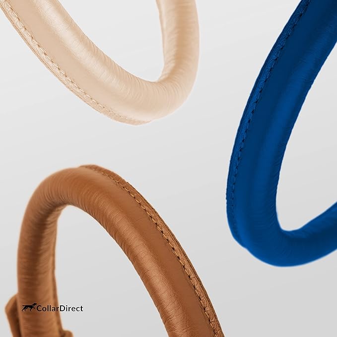 CollarDirect Rolled Leather Dog Collar, Soft Padded Round Puppy Collar, Handmade Genuine Leather Collar Dog Small Large Cat Collars 13 Colors (8-11 Inch, Deep Blue Textured)