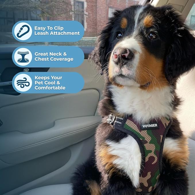 Best Pet Supplies Voyager Adjustable Step-in Flex Breathable Mesh Dog Harness for Small Medium Large Dogs (Army/Black Trim), XS