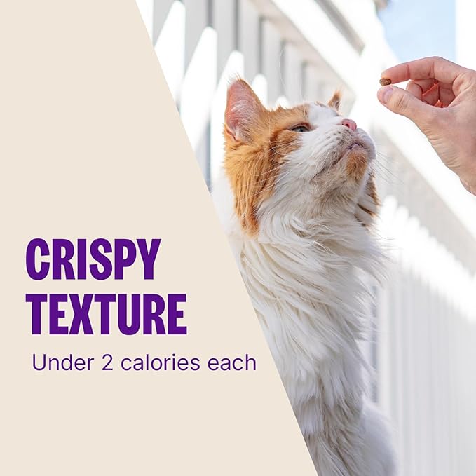 Wellness Kittles Crunchy Cat Treats, All Lifestages, Kitten to Senior, Natural, Grain Free, Salmon and Cranberry Flavor, 2 oz Bag