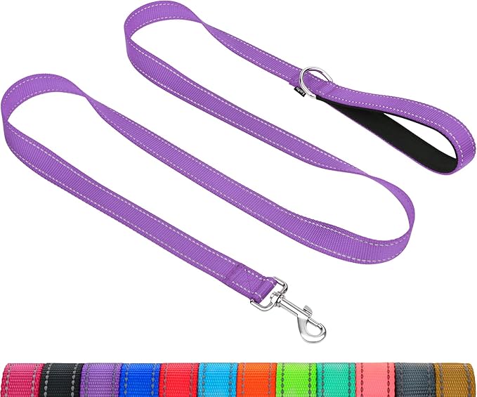 Taglory Dog Leash for Small Dogs, Double-Sided Reflective for Night Walking, Neoprene Padded Handle, 3/4 inch by 5 ft, Lightweight for Small Medium Breeds up to 30 lbs, Purple