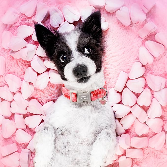 Unique style paws Valentine's Day Dog Collar Plastic Buckle Collar with Pendant Painting Love Heart Gift Wedding Small Medium Large Boys Girls Dogs