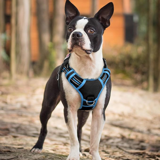 rabbitgoo Dog Harness Small Sized, 3 Buckles Easy On & Off No Pull Pet Vest, Soft Padded Walking Pet Harness with Control Handle, Adjustable and Reflective, Black & Sky Blue, S
