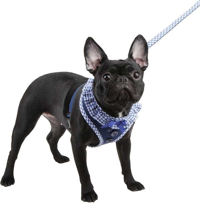 Puppia Vivien Dog Harness Over-the-Head All Season Cute No Pull No Choke Walking Training Adjustable for Small Dog, Black, Small