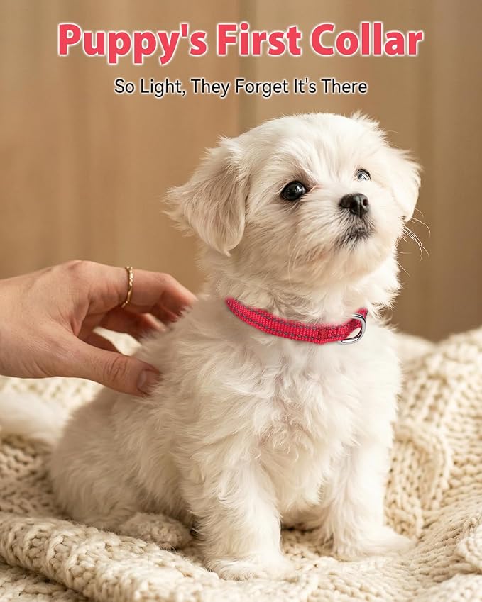 Joytale Puppy Collar, Feather-Light Double-Sided Reflective Nylon Collar for Night Safety, Adjustable Quick-Release for Extra Small Dogs, Red, XS (3/8" Width)