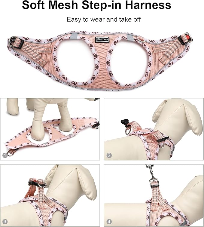 Mercano Soft Mesh Dog Harness and Leash Set, Step-in Reflective Breathable Lightweight Vest Harnesses with Safety Buckle for Small Dogs, Cats (Champagne, S)