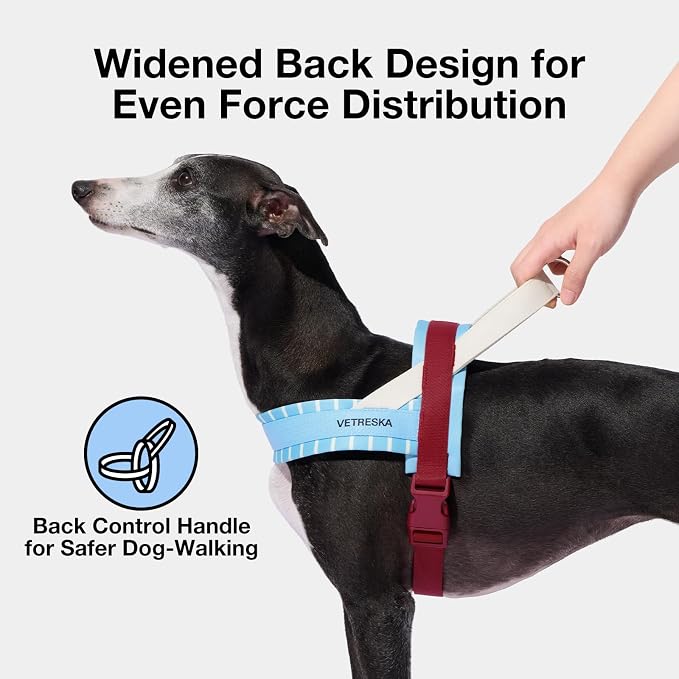 VETRESKA Dog Harness Small Sized Dog, Adjustable No Choke Puppy Harness No Pull, Easy Control Pet Harness Vest for Dogs, Cat, Kitten, Dog Harness with Anti-Tangle Dog Leash Set, Misty Melo XS