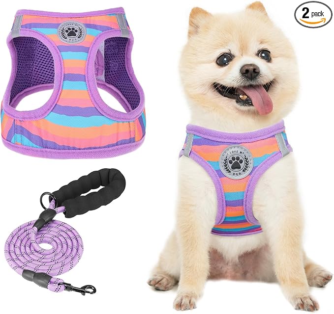 BEAUTYZOO Dog Harness and Leash Set for Small Dogs,No Pull Step-in Harness for Puppy XS S Sized Dogs and Cats,Air Mesh Adjustable Breathable Soft No Choke Escape Proof Vest Harness,Striped Purple XXS