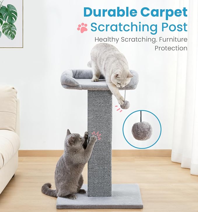 Made4Pets Cat Scratching Post with Bed, 32'' Modern Cat Scratcher with Top Plush Cat Bed, Tall Cat Scratch Post for Indoor Cats, Heavy-Duty Carpet Scratching Post with Hanging Ball Toy, Grey