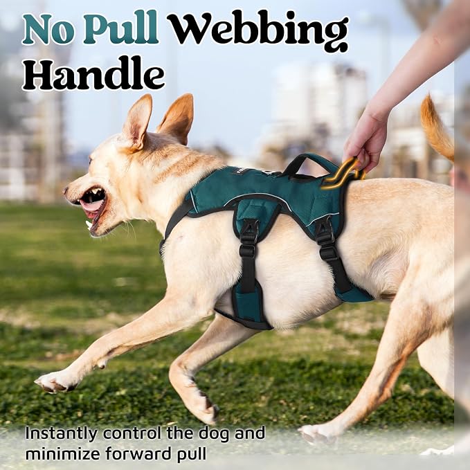 rabbitgoo Escape Proof Dog Harness, Soft Padded Full Body Pet Harness, Reflective Adjustable No Pull Vest with Lift Handle and Leash Clip for Large Dogs Walking Hiking Training, Dark Green, XL