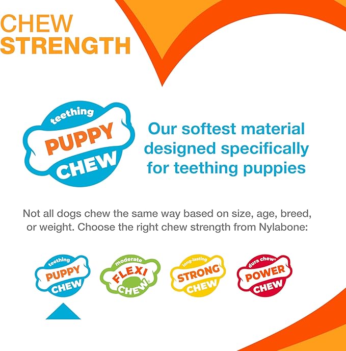 Nylabone New Puppy Power Chew Stages, Soothing Puppy Teething Toys, Chew Bones for Puppies, Long Lasting Peanut Butter & Chicken Flavor, For X-Small Dogs - Up to 15 lbs., 2 Pack