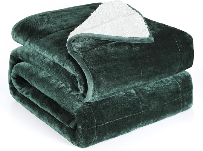 Alomidds Weighted Blanket for Adults, Twin Size 12 lbs Weighted Blankets,Heavy Blanket with Reversible Soft Shiny Fleece and Cozy Warm Sherpa for Couch Bed, 48 x 72 inches,Green