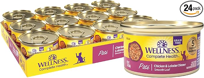 Wellness Complete Health Pate Adult Canned Wet Cat Food, Natural, Protein Rich, Grain Free, Chicken and Lobster Dinner Recipe, 3 oz, Pack of 24 Cans