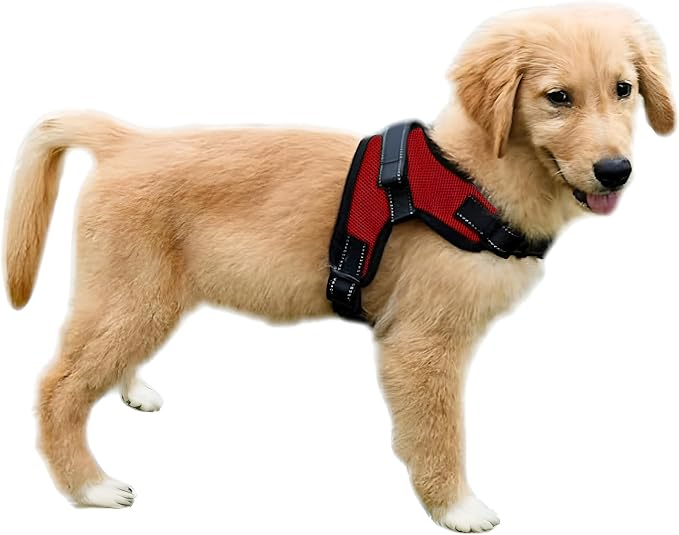 No Pull Reflective Adjustable Dog Harness with Handle- Comfortable Soft All Weather Mesh, Easy On Puppy Harness for Small Medium and Large Dogs (Red) XX-Small