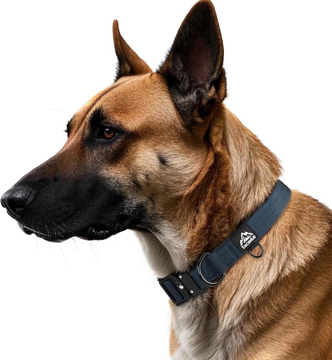 Dog Collar for Small Dogs Christmas Boy Girl- Adjustable, Chew Proof Nylon Collar with Metal Quick Release Buckle and D-Ring for Dog Tags (Navy Blue, S)