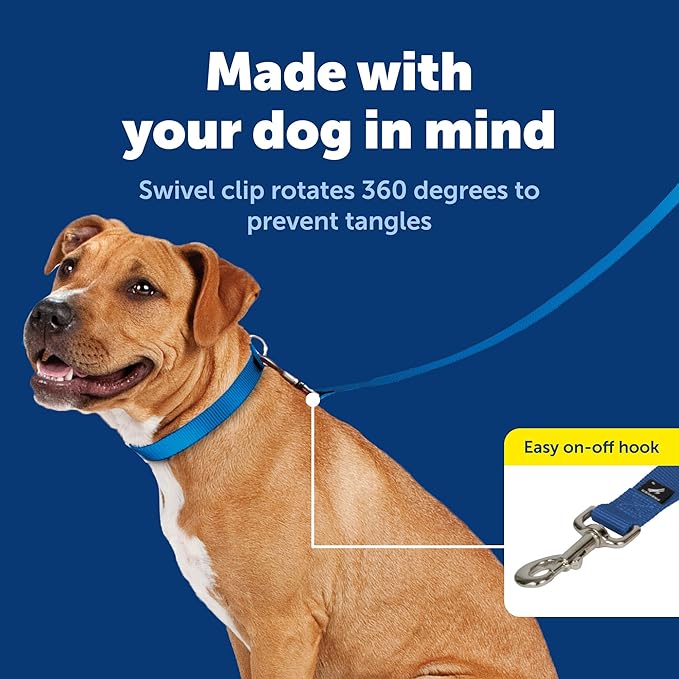 PetSafe Nylon Dog Leash Strong, Durable, Traditional Style Lead with Easy to Use Bolt Snap for Small, Medium and Large Dogs 3/8" x 6', Royal Blue