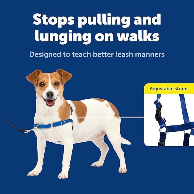 PetSafe Easy Walk No-Pull Dog Harness - Ultimate Harness to Help Stop Pulling - Pull-Free Walks - Take Control & Teach Better Leash Manners - Patented Martingale Loop Design - Royal Blue, Small