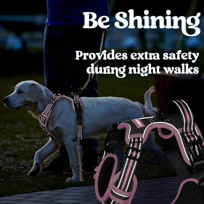 rabbitgoo Dog Harness for Large, No Pull Easy On & Off with 3 Buckles Pet Harness, Adjustable Soft Walking Vest with 2 Clips and Handle, Reflective for Large Dogs, Black & Pink, L
